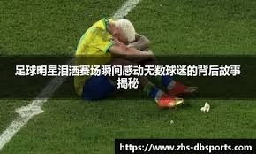 日本职棒球队训练营正式开营